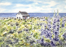 Load image into Gallery viewer, Maine House Lupine