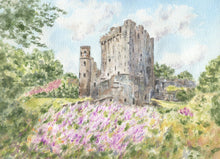 Load image into Gallery viewer, Blarney Castle, Blarney Ireland