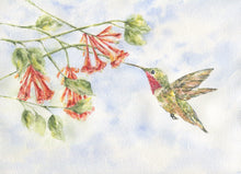 Load image into Gallery viewer, Hummingbird Painting, Hummingbird Art