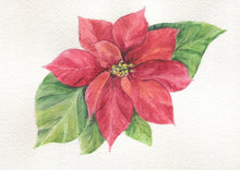 Load image into Gallery viewer, Poinsettia, original or fine art print, holiday decor, holiday art, framed poinsettia - Leigh Barry Watercolors