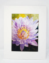 Load image into Gallery viewer, Chrysanthemum: Original watercolor painting flower painting framed floral print purple floral lavender flower art framed art print flowers - Leigh Barry Watercolors