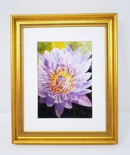 Load image into Gallery viewer, Chrysanthemum: Original watercolor painting flower painting framed floral print purple floral lavender flower art framed art print flowers - Leigh Barry Watercolors