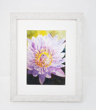 Load image into Gallery viewer, Chrysanthemum: Original watercolor painting flower painting framed floral print purple floral lavender flower art framed art print flowers - Leigh Barry Watercolors