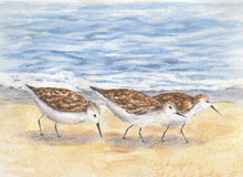 Load image into Gallery viewer, Sandpiper painting original watercolor painting ocean watercolor beach painting print gift ideas original beach paintings bird art - Leigh Barry Watercolors