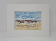 Load image into Gallery viewer, Sandpiper painting original watercolor painting ocean watercolor beach painting print gift ideas original beach paintings bird art - Leigh Barry Watercolors