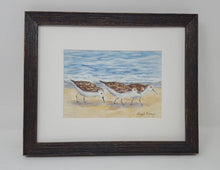 Load image into Gallery viewer, Sandpiper painting original watercolor painting ocean watercolor beach painting print gift ideas original beach paintings bird art - Leigh Barry Watercolors