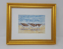 Load image into Gallery viewer, Sandpiper painting original watercolor painting ocean watercolor beach painting print gift ideas original beach paintings bird art - Leigh Barry Watercolors