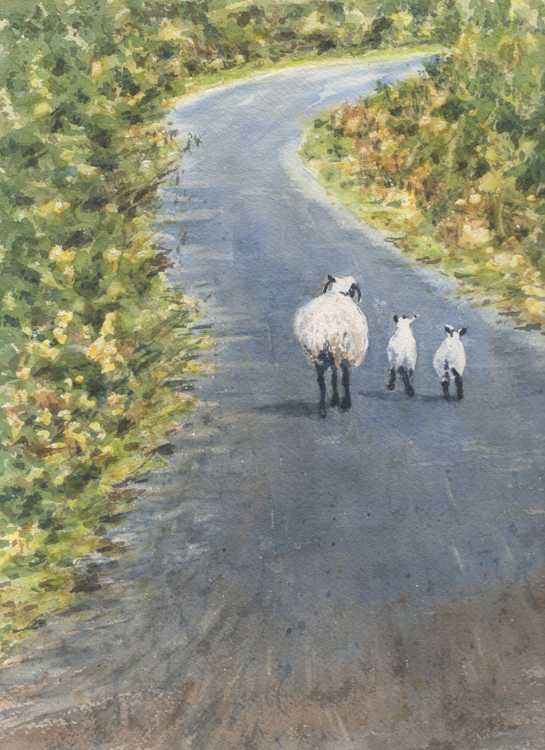Ireland In Springtime, Irish Sheep and Lambs, Irish Road watercolor prints or original painting, Irish sheep landscape art, Ireland landscape print, Irish road, Irish art