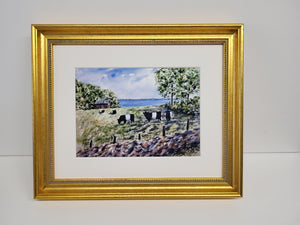Belted Cows Rockport, Maine