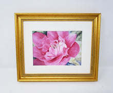 Load image into Gallery viewer, Pink Peony Watercolor Painting, print or original painting, Peony Art, pink floral watercolor art, pink floral art, framed wall art, azalea painting,
