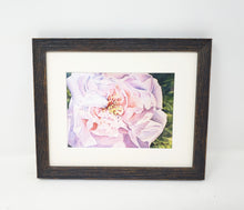 Load image into Gallery viewer, Morning Glow, Pink Rose Watercolor Painting Prints or Original Painting, Close Up Rose Art, floral print floral painting framed art print wall decor wall art framed prints giclee print home decor archival
