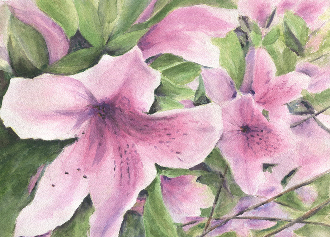 Pink Azaleas: Watercolor giclee print or original painting, floral watercolor art, pink floral art, framed wall art, azalea painting, - Leigh Barry Watercolors