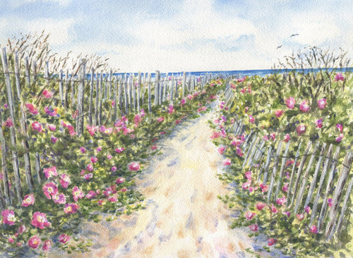 Cape Cod Roses: watercolor painting, giclee prints or original watercolor, Nantucket painting, Cape Cod framed watercolor, print framed art, print cottage art Sconset Nantucket painting roses - Leigh Barry Watercolors