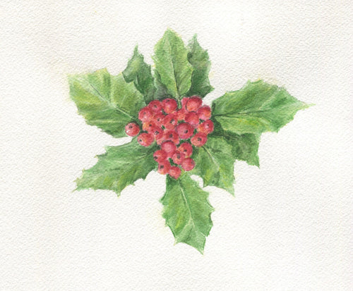 Holly, original or fine art print, holiday decor, holiday art, framed holly print, Christmas floral painting - Leigh Barry Watercolors