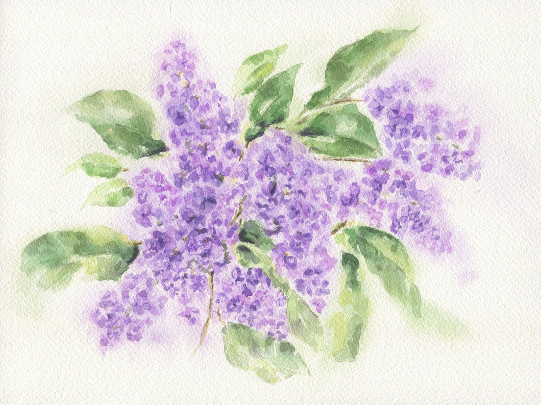 Lilacs: watercolor painting floral print purple flowers home decor wall decor bathroom decor framed art giclee print archival purple floral - Leigh Barry Watercolors