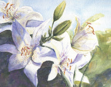Load image into Gallery viewer, White Lilies original watercolor floral painting framed watercolor floral print lily art print lilies painting framed art print Leigh Barry - Leigh Barry Watercolors

