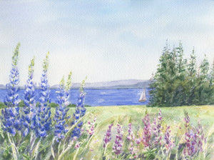 Lupine And The Sea: Maine watercolor painting giclee prints seaside print Maine painting Maine art wall decor watercolor painting - Leigh Barry Watercolors