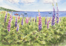 Load image into Gallery viewer, Maine Lupine: watercolor giclee print or original Maine watercolor print lupine art print Maine painting art print framed lupine painting - Leigh Barry Watercolors
