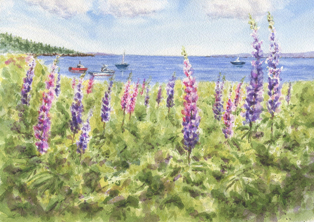 Maine Lupine: watercolor giclee print or original Maine watercolor print lupine art print Maine painting art print framed lupine painting - Leigh Barry Watercolors