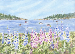 Maine Harbor and Lupine watercolor giclee print or original Maine watercolor print lupine art print Maine painting art print framed lupine painting