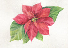Load image into Gallery viewer, Poinsettia, original or fine art print, holiday decor, holiday art, framed poinsettia - Leigh Barry Watercolors
