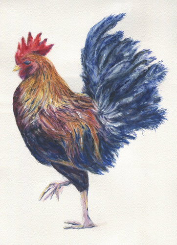 Rooster Painting Watercolor Fine Art Print Or Original Watercolor Bird Painting Framed Kitchen Art Rooster Watercolor Print - Leigh Barry Watercolors