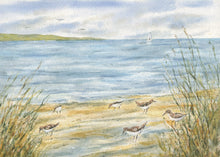 Load image into Gallery viewer, Sandpipers On The Shore Watercolor Painting Prints,  Seabirds watercolor painting, ocean watercolor beach painting print gift ideas original beach paintings bird art
