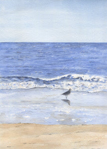 "Wading" Seagull Beach Decor, Seagull on Beach Print, Ocean Print, Leigh Barry framed art wall decor summer art, relaxing beach print