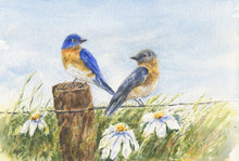 Load image into Gallery viewer, Bluebirds: Original watercolor painting bluebird painting country cottage art framed print bird art print gift ideas watercolor birds print - Leigh Barry Watercolors
