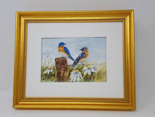 Load image into Gallery viewer, Bluebirds: Original watercolor painting bluebird painting country cottage art framed print bird art print gift ideas watercolor birds print - Leigh Barry Watercolors
