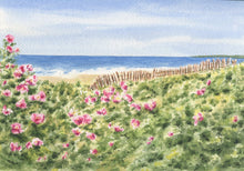 Load image into Gallery viewer, Beach Roses: watercolor painting roses ocean seaside home decor beach decor giclee print archival framed art floral beach pink green - Leigh Barry Watercolors
