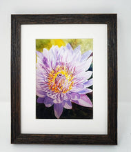 Load image into Gallery viewer, Chrysanthemum: Original watercolor painting flower painting framed floral print purple floral lavender flower art framed art print flowers - Leigh Barry Watercolors
