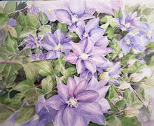 Load image into Gallery viewer, Clematis: Original watercolor painting or giclee print watercolor floral print framed floral print Leigh Barry Watercolors purple flower - Leigh Barry Watercolors
