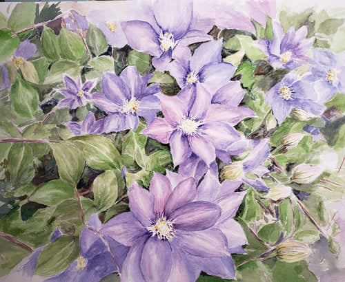 Clematis: Original watercolor painting or giclee print watercolor floral print framed floral print Leigh Barry Watercolors purple flower - Leigh Barry Watercolors