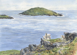Dingle Peninsula Irish landscape painting Ireland landscape print framed sheep art Irish art seascape painting Irish sheep painting farm - Leigh Barry Watercolors