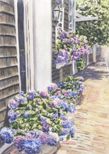 Load image into Gallery viewer, Nantucket Hydrangeas Watercolor painting giclee print Cape Cod painting Cape Cod print Nantucket painting framed art - Leigh Barry Watercolors
