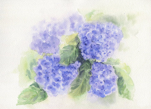 Hydrangeas 2: watercolor floral painting flower watercolor hydrangea painting wall decor home decor floral painting blue flowers framed art - Leigh Barry Watercolors