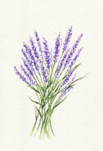 Load image into Gallery viewer, Lavender 2: lavender painting watercolor giclee print or original lavender print original lavender painting cottage wall decor Leigh Barry - Leigh Barry Watercolors
