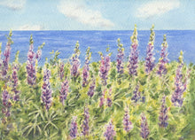 Load image into Gallery viewer, Lupine 2: Lupine Watercolor Print or Original Painting, Maine Lupine Watercolor Art print lupine art print Maine painting art print framed lupine painting
