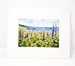 Maine Lupine: watercolor giclee print or original Maine watercolor print lupine art print Maine painting art print framed lupine painting - Leigh Barry Watercolors
