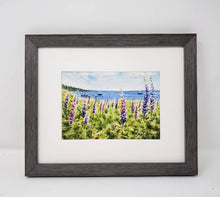 Load image into Gallery viewer, Maine Lupine: watercolor giclee print or original Maine watercolor print lupine art print Maine painting art print framed lupine painting - Leigh Barry Watercolors
