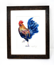 Load image into Gallery viewer, Rooster Painting Watercolor Fine Art Print Or Original Watercolor Bird Painting Framed Kitchen Art Rooster Watercolor Print - Leigh Barry Watercolors
