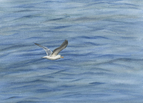 Seagull: Seagull Watercolor Print Or Original Painting Seabird painting Ocean Painting beach decor beach art beach painting Leigh Barry - Leigh Barry Watercolors