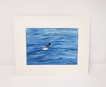 Load image into Gallery viewer, Seagull: Seagull Watercolor Print Or Original Painting Seabird painting Ocean Painting beach decor beach art beach painting Leigh Barry - Leigh Barry Watercolors
