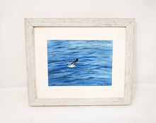 Load image into Gallery viewer, Seagull: Seagull Watercolor Print Or Original Painting Seabird painting Ocean Painting beach decor beach art beach painting Leigh Barry - Leigh Barry Watercolors
