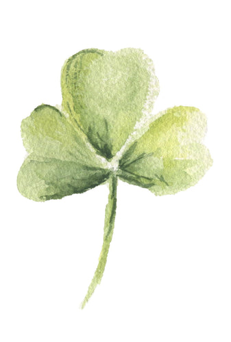 Shamrock Painting Watercolor Print Giclee Print Watercolor Framed Irish Print Irish Gift Ireland Art Celtic Art Print Shamrocks gift - Leigh Barry Watercolors