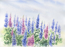 Load image into Gallery viewer, Lupine tea towels, Maine tea towels, Lupine kitchen towels, lupine kitchen decor, Maine gift, lupine watercolor gift, Maine decor cottage - Leigh Barry Watercolors
